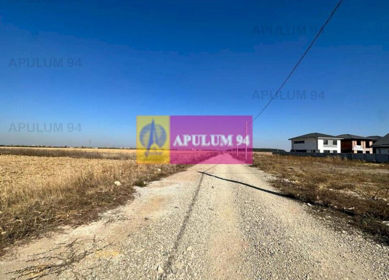 Teren Pantelimon-Dobroesti