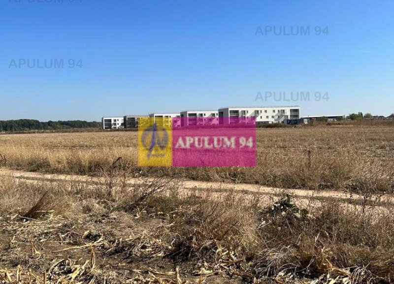 Teren Pantelimon-Dobroesti